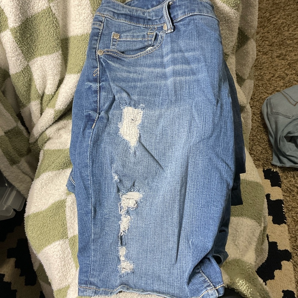 Bermuda torrid brand